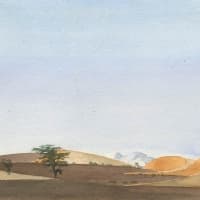 aquarelle-tasiast-mauritanie