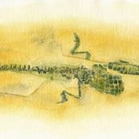 aquarelle-fossile-crocodile