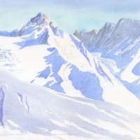 aquarelle-chardonnet-hiver