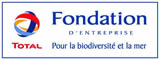 foundation-total